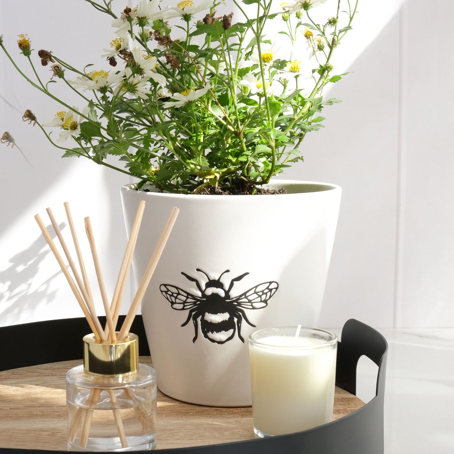 Bee Pot Planter - (Bee) - 14.5 x 14cm