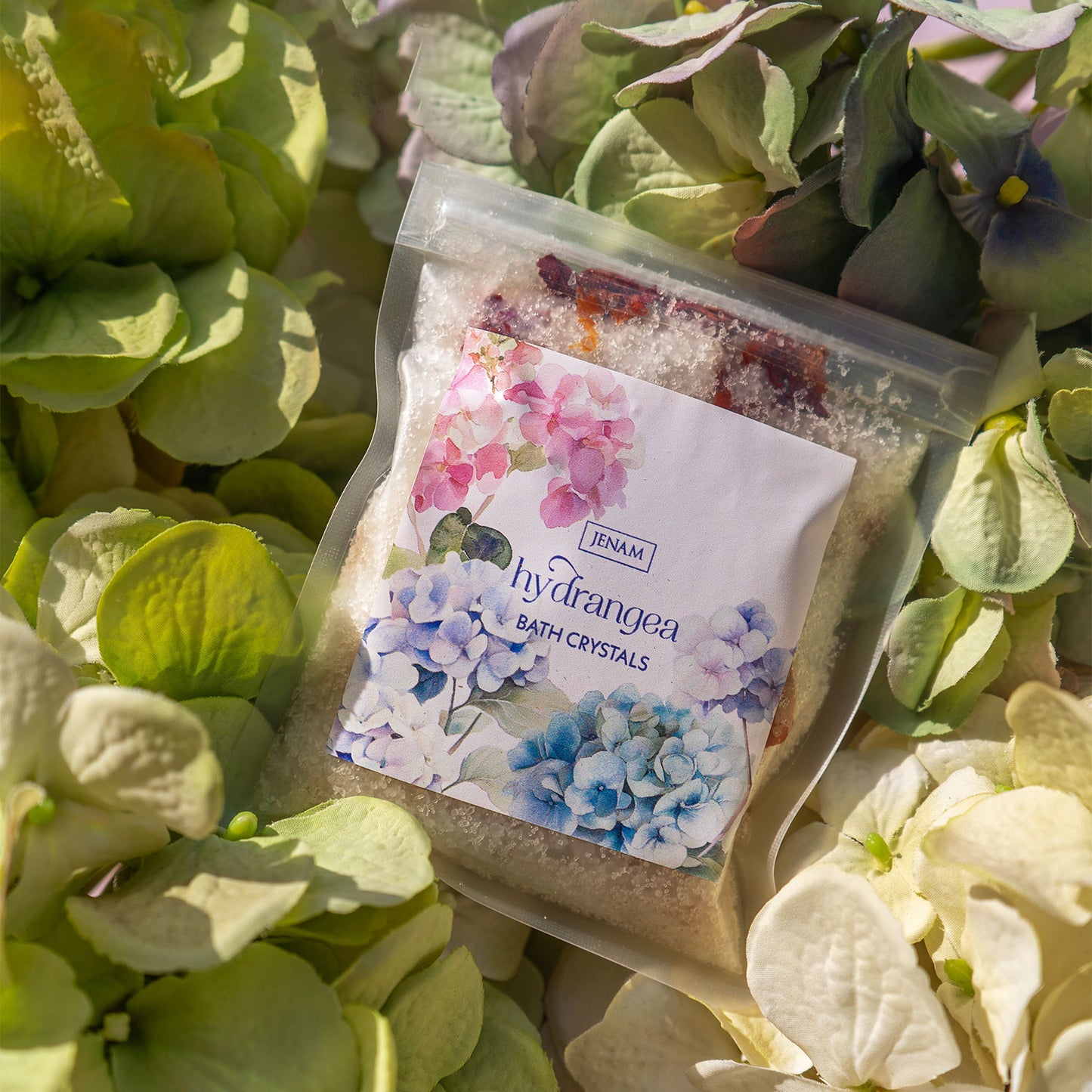 Hydrangea - Pamper Treats