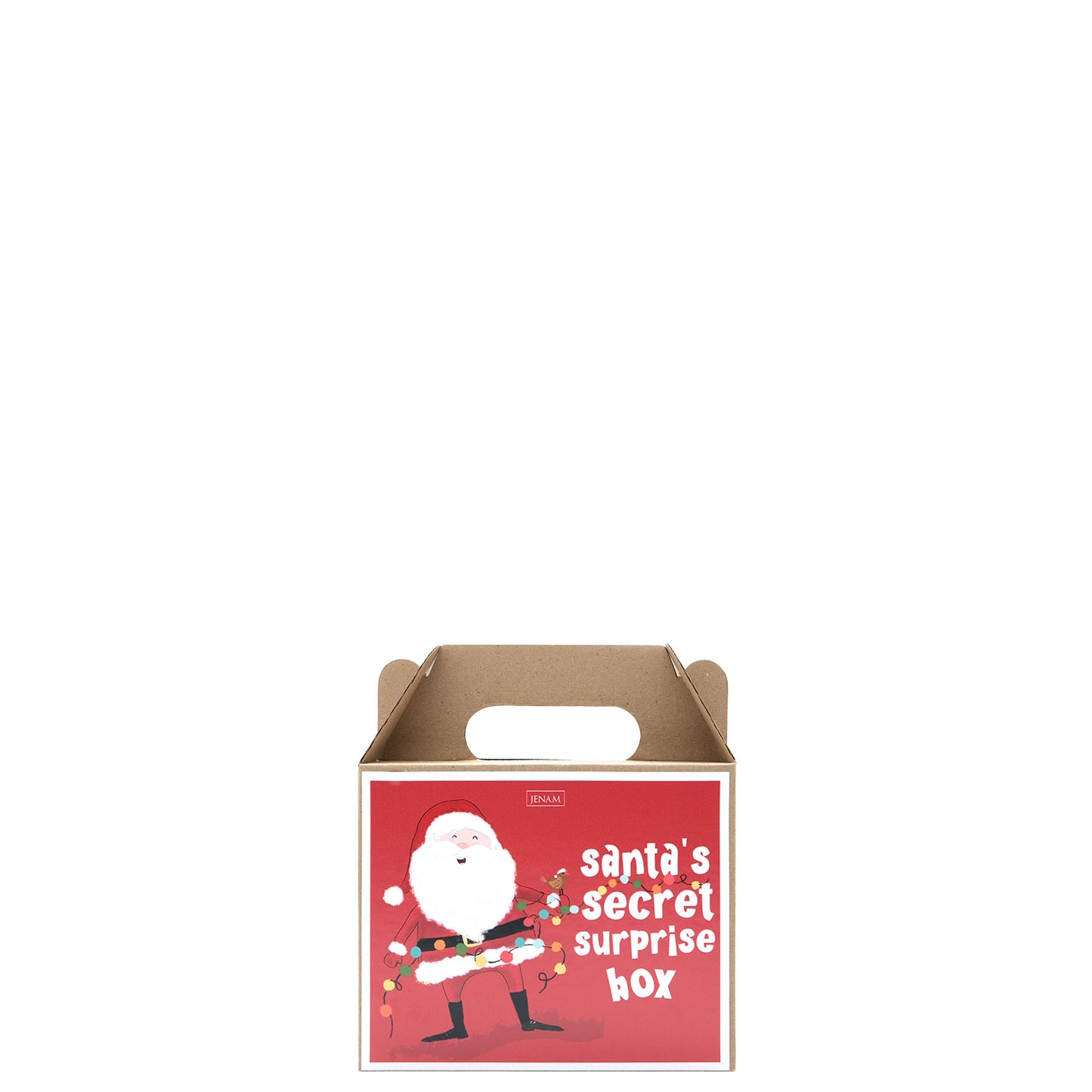 Christmas - Christmas Surprise Box