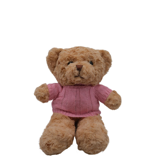 Bella Bear - Plush Teddy With Pink Jersey