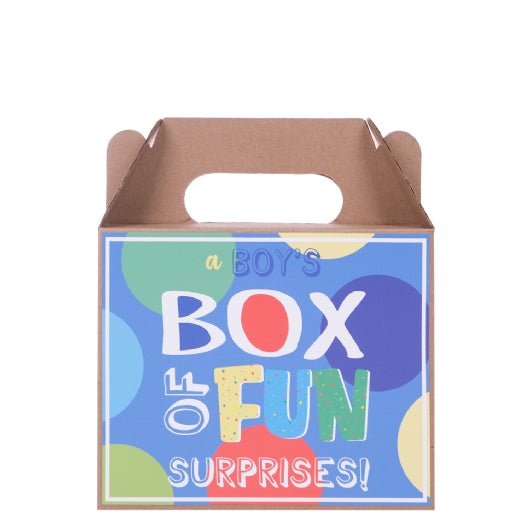 Boys Box Of Fun Surprises - (Pen, Bubbles, Tattoos, Stretchy Toy & Dino Slime)